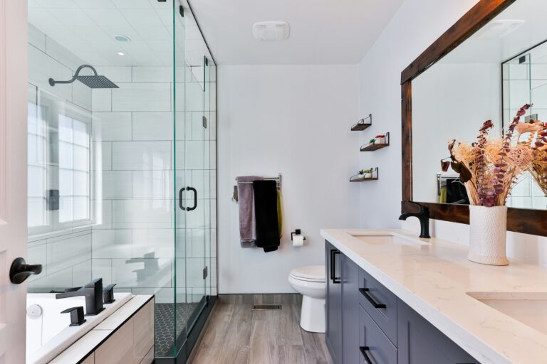 Bathroom with blue accents and a walk-in shower.