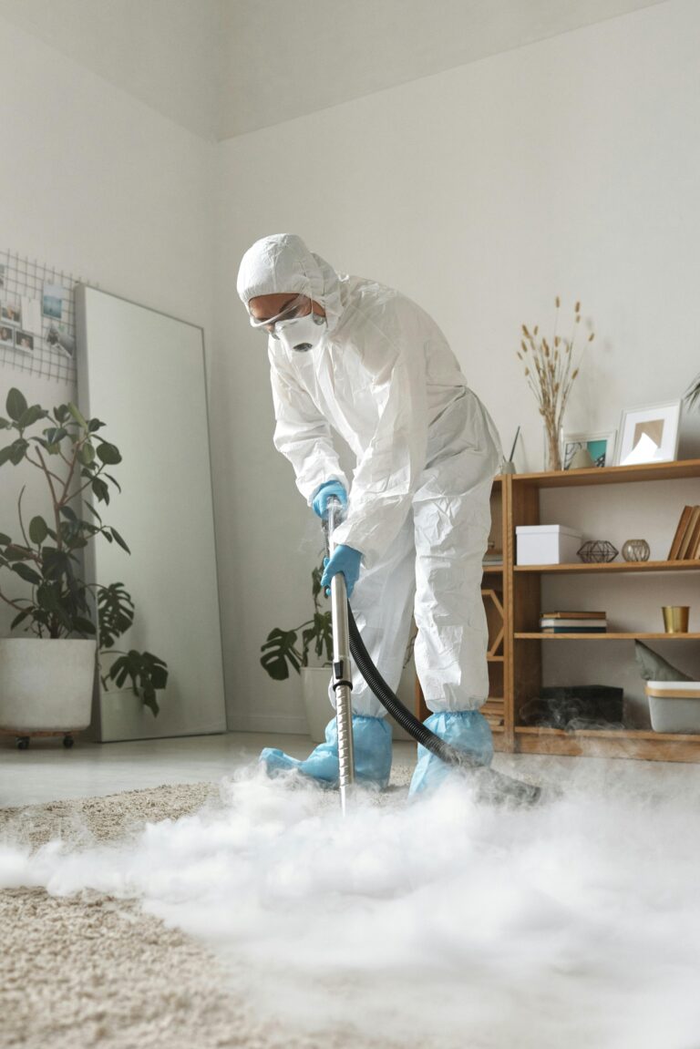 The best rug & carpet cleaning services in Lincoln Park. Steam cleaning