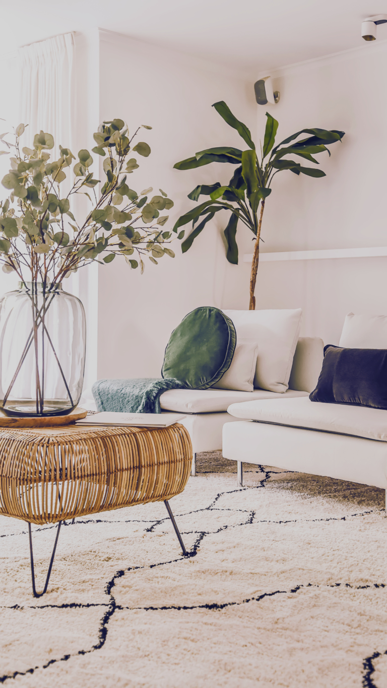 an apartment living room with a couch and a plant. Deep cleaning in Wicker Park