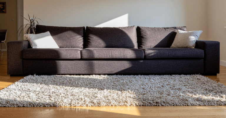 rug, cleaned and sanitized