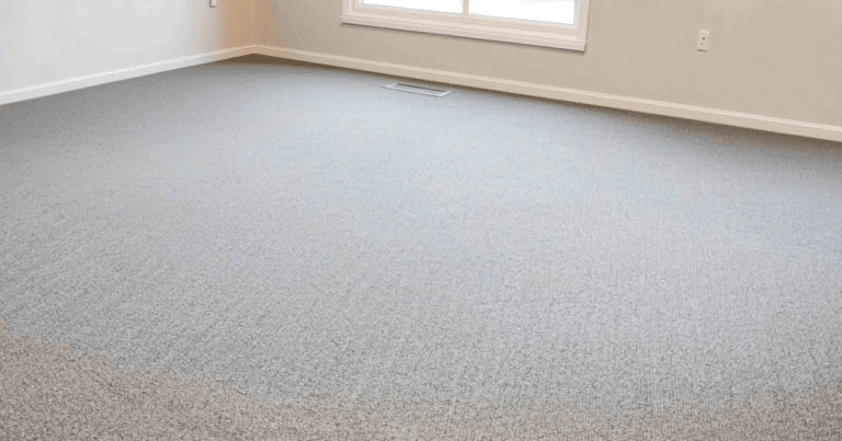 carpet after a professional cleaning service
